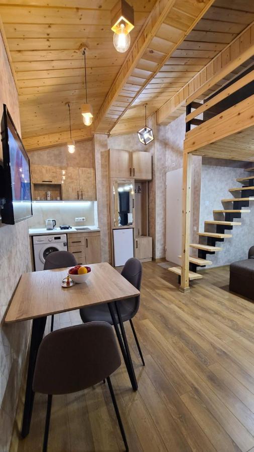 Gudauri Winter Houseアパートメント エクステリア 写真