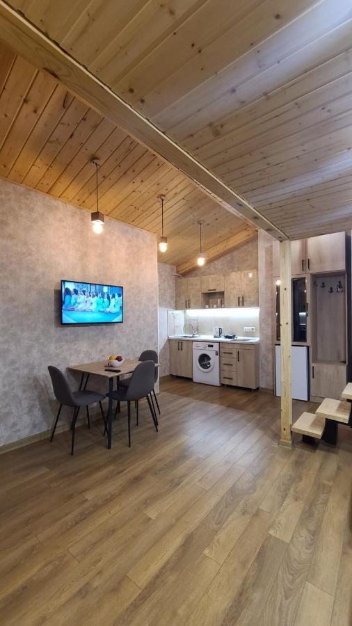 Gudauri Winter Houseアパートメント エクステリア 写真