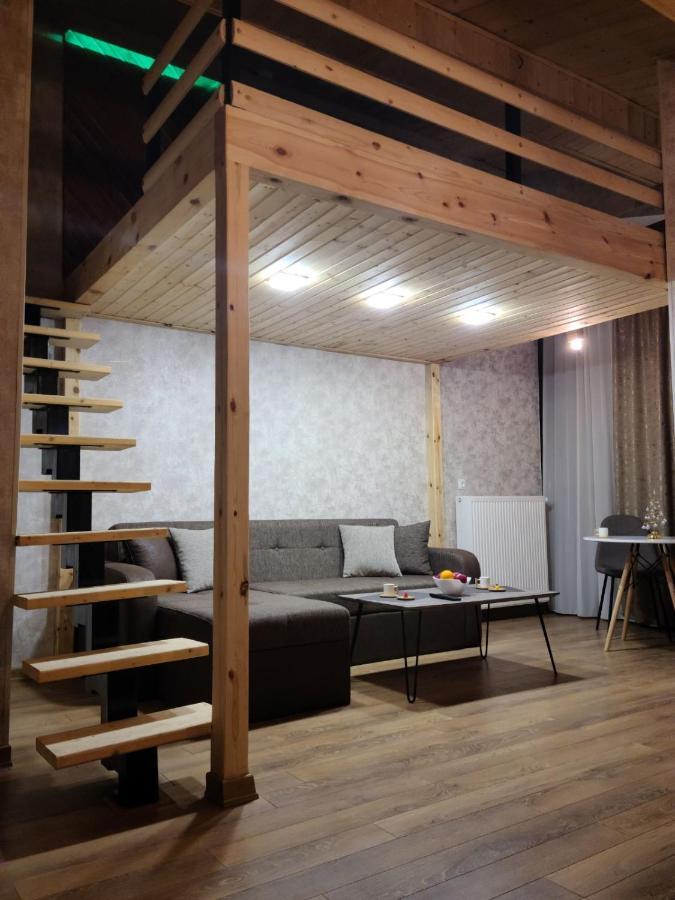 Gudauri Winter Houseアパートメント エクステリア 写真