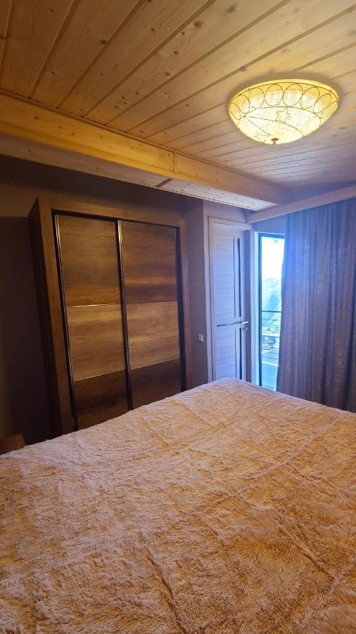 Gudauri Winter Houseアパートメント エクステリア 写真